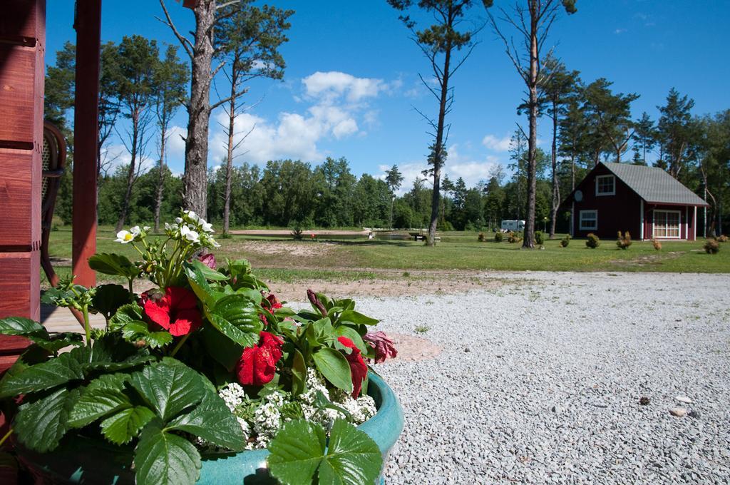 Tehumardi Camping Salme Exterior foto